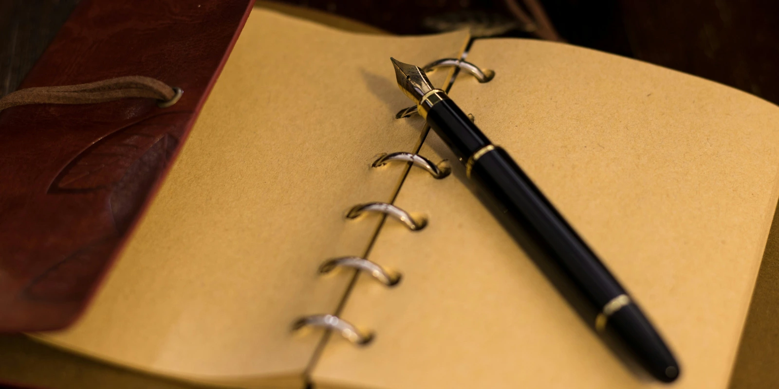 Classement IAE Lille : Licences de Gestion Classement IAE Lille : Licences de Gestion