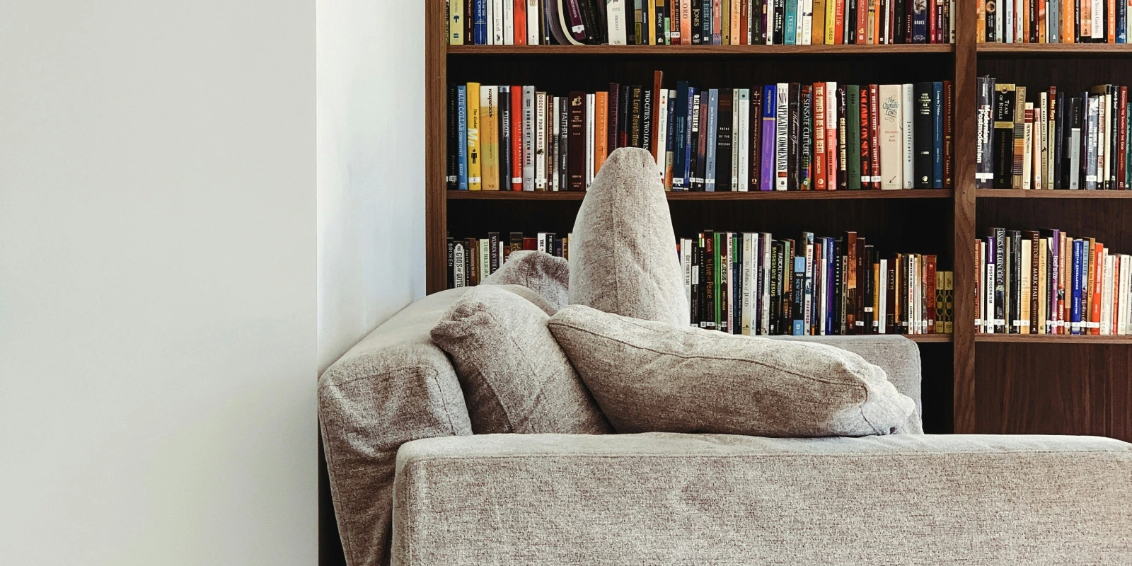 Classement Licence Éco-Gestion : Les Meilleures