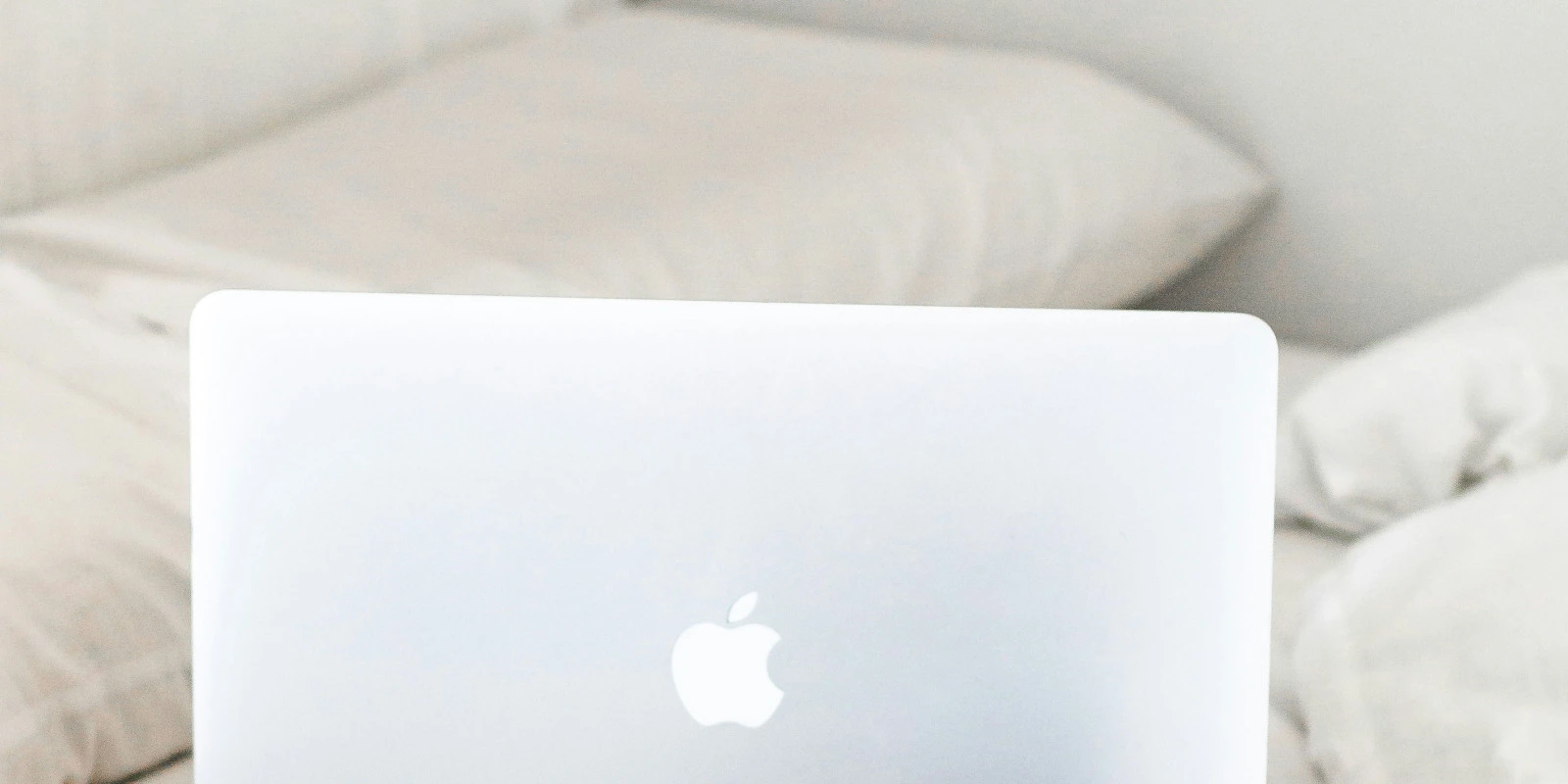 Classement Thotis : Meilleures Licences Gestion