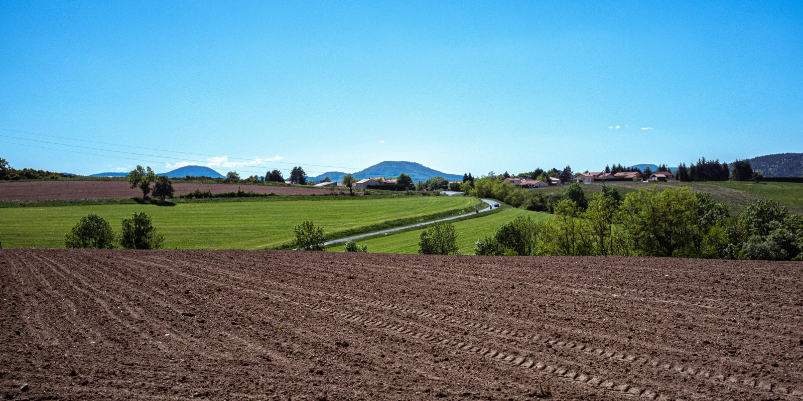 École de Management la Sorbonne : Licences Gestion