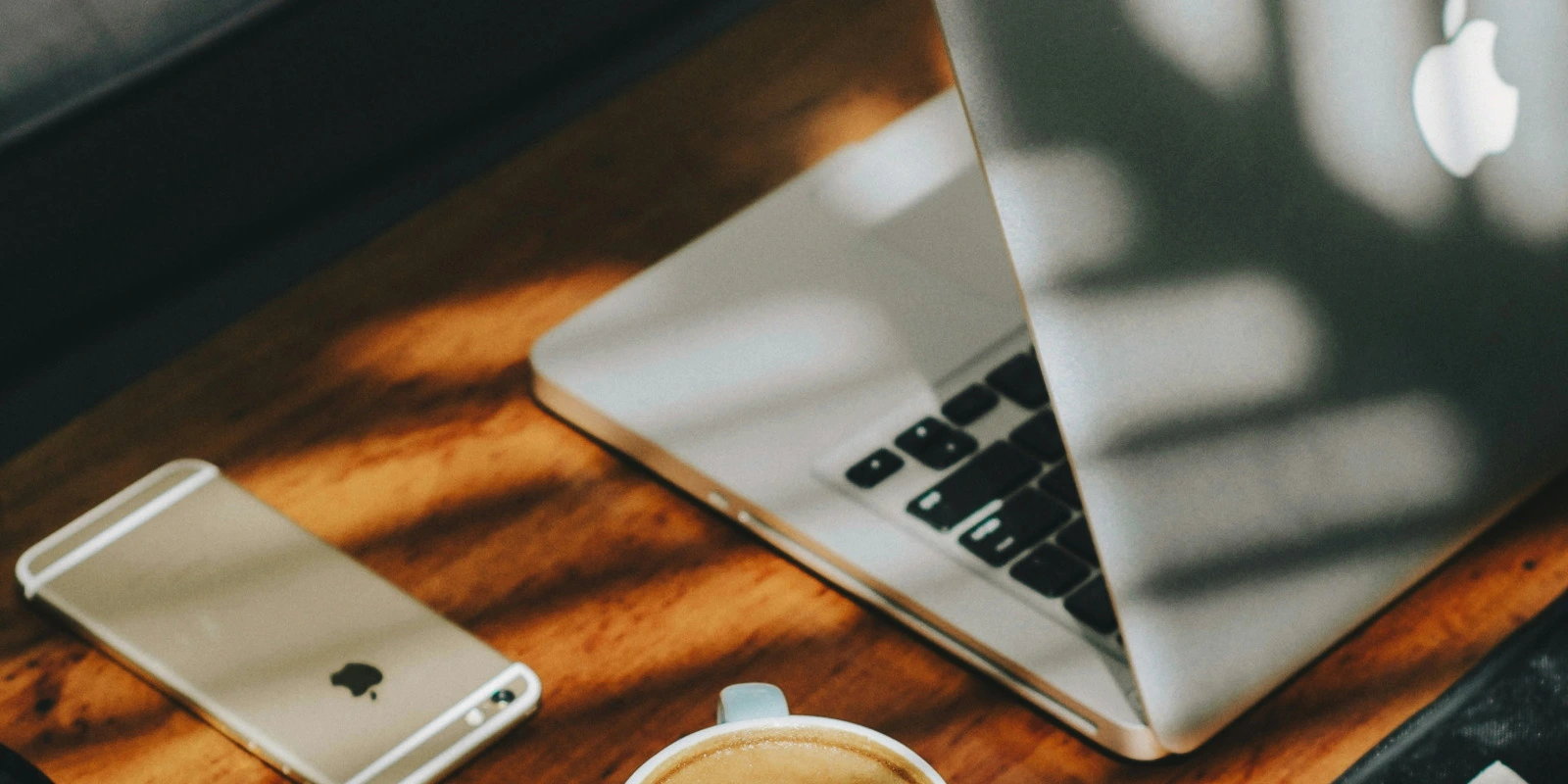 Études de Gestion : Choisir la Meilleure Licence