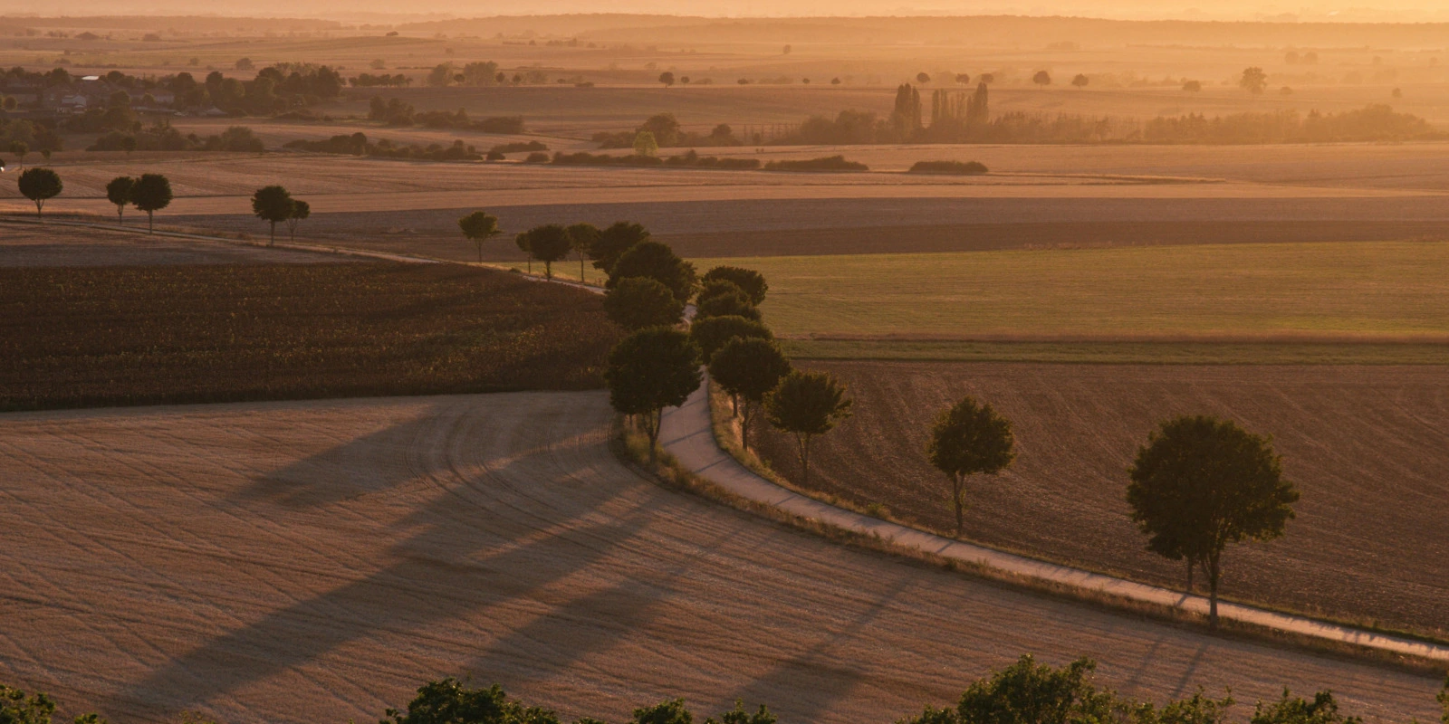 Formation Licence Gestion des Entreprises