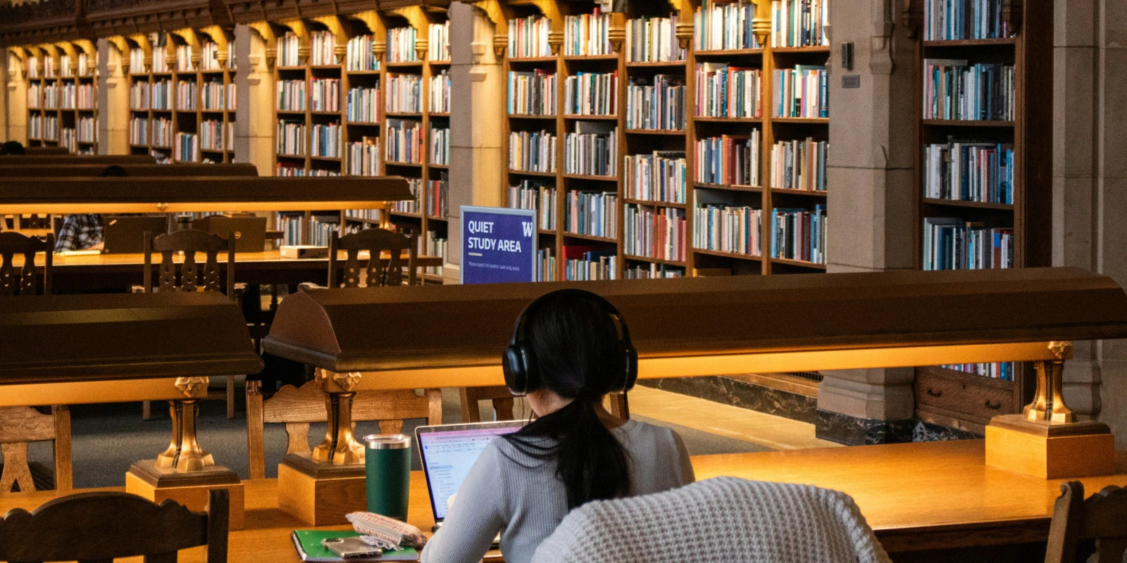 Gestion : Licences et Débouchés