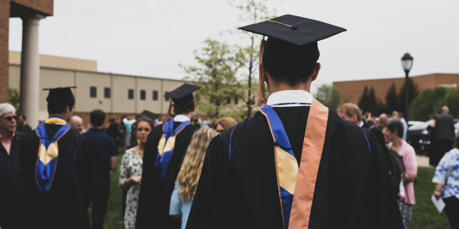 Licence Gestion des Organisations : Un Choix Stratégique Licence Gestion des Organisations : Un Choix Stratégique