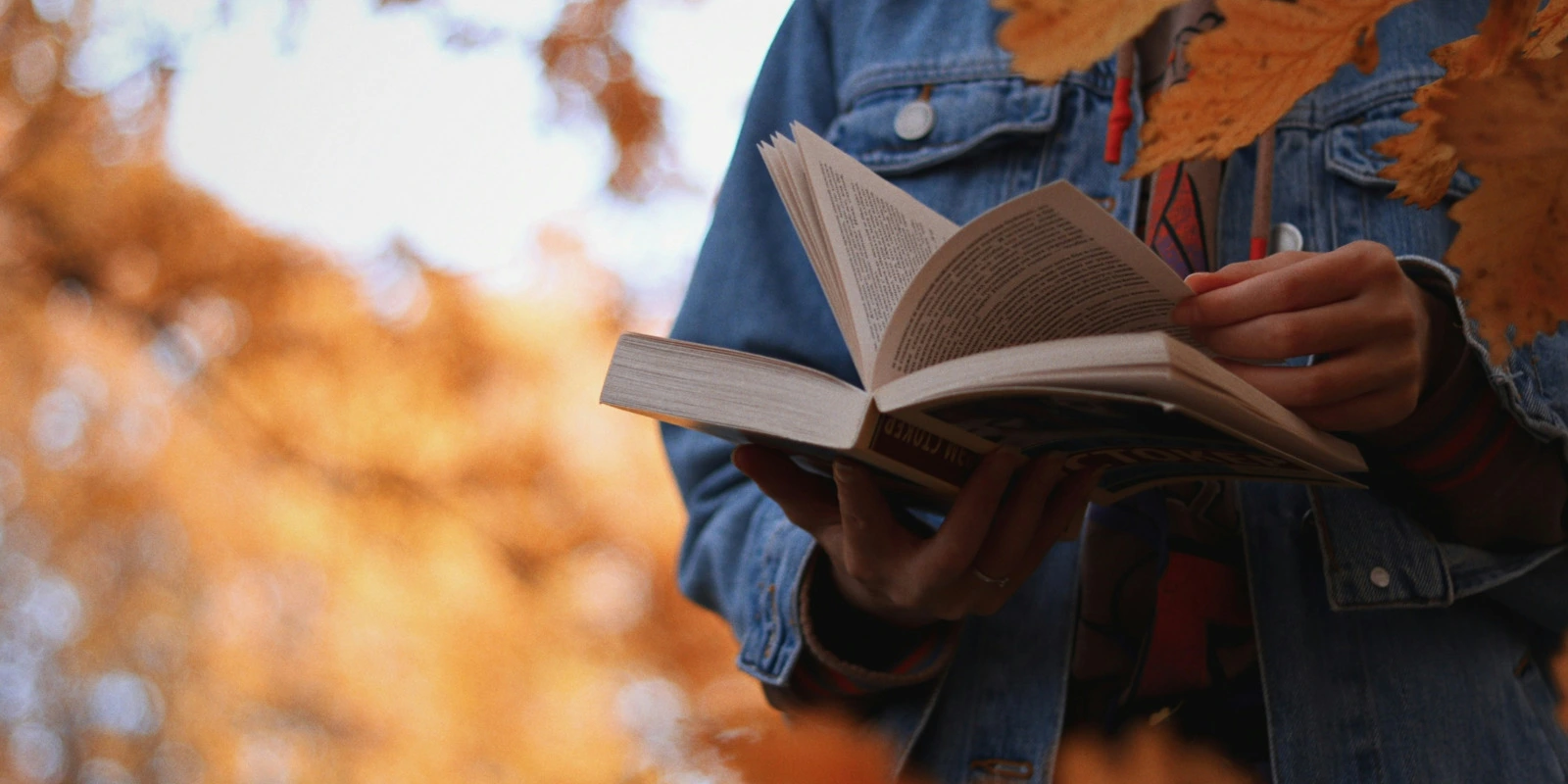 Licence Gestion des Ressources Humaines : Opportunités