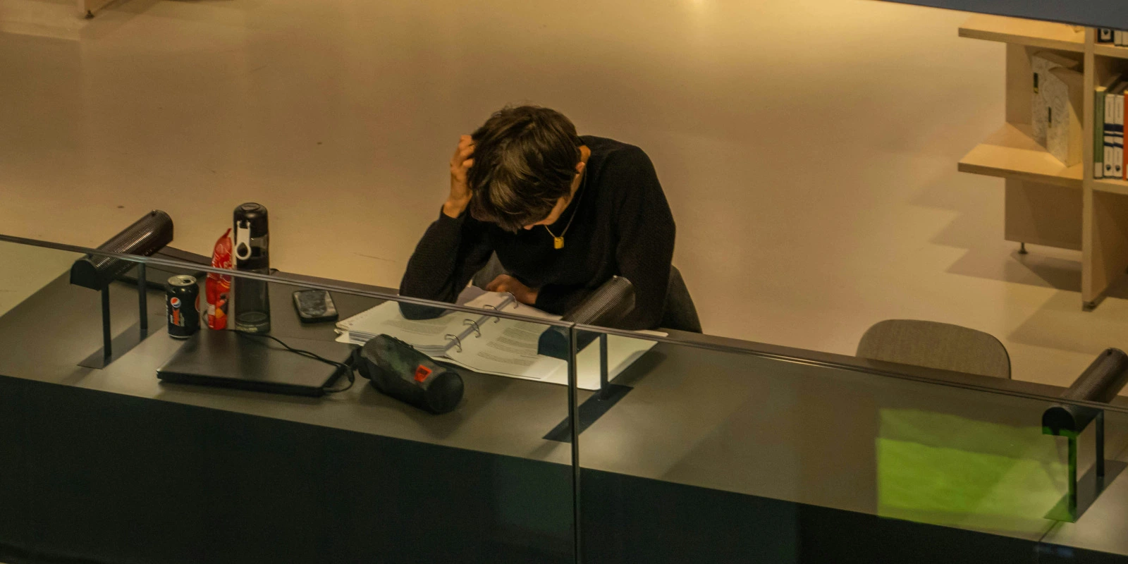 Licence Gestion des Structures Sanitaires et Sociales