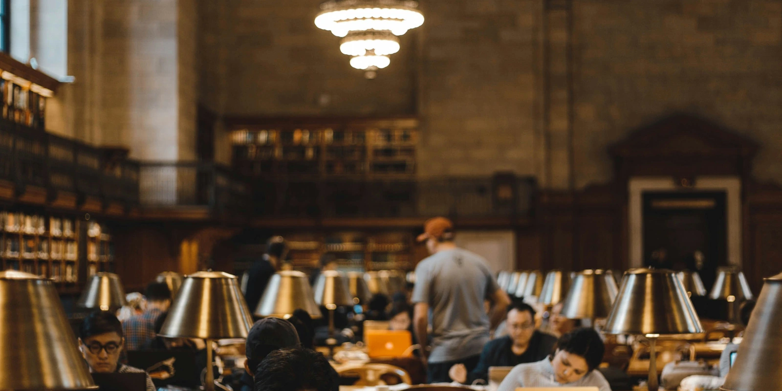 Licence Gestion et Administration : Une Voie Complète