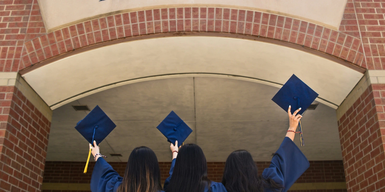 Management et Gestion des Organisations : Parcours Pro